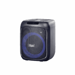 اسپیکر GSS-622