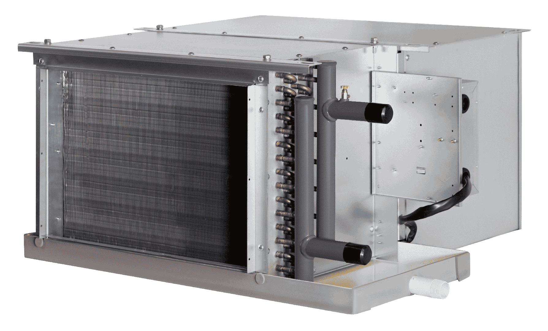 فن کویل کانالی